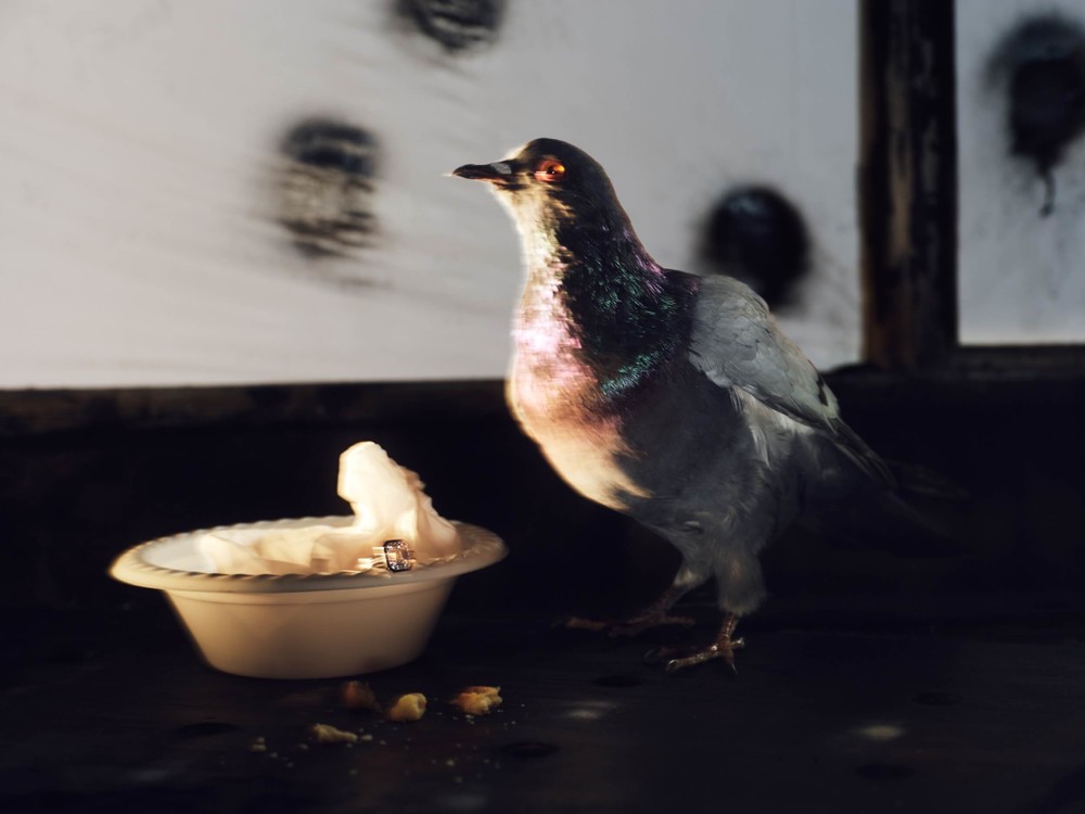 another magazine - © Studio Augmenta