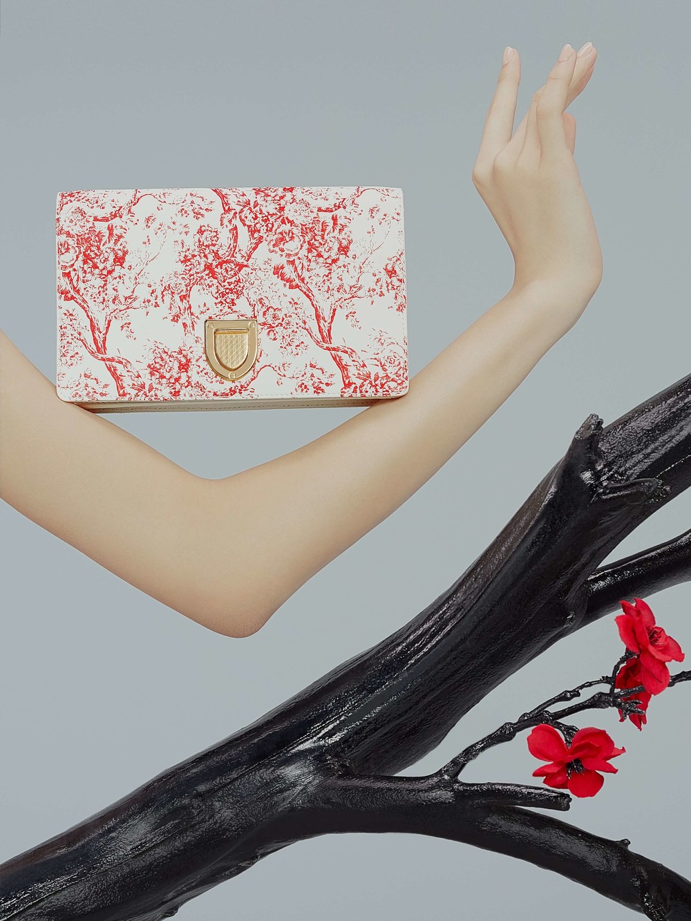 DIOR - © Studio Augmenta